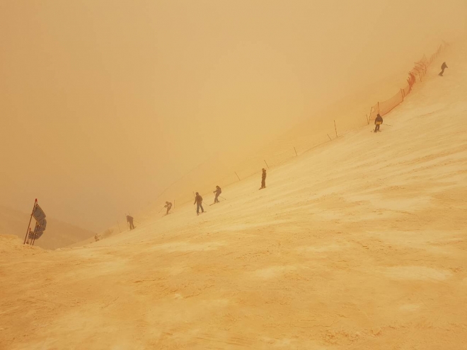 Желтый снег поляна. Оранжевый снег в сочи. Оранжевый снег в сибири. Оранжевый снег. Желтый снег.