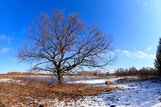 d93039c0.jpg